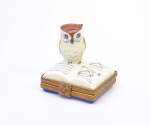 Studious Owl Limoges
