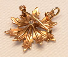 Art Nouveau Natural Pearl (Mississippi River Pearl) Brooch/Pendant