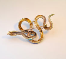 Enamel-covered Serpent Brooch in 14K Yellow Gold with 4 Rubies for Eyes